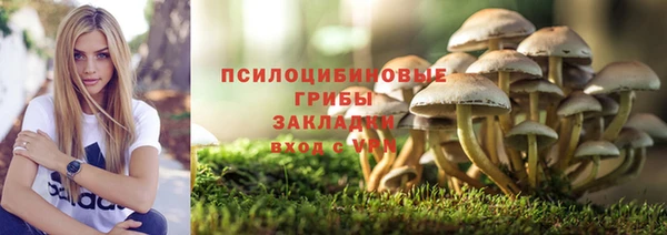 молекула духа Слюдянка