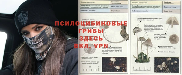 прущие крисы Богородск