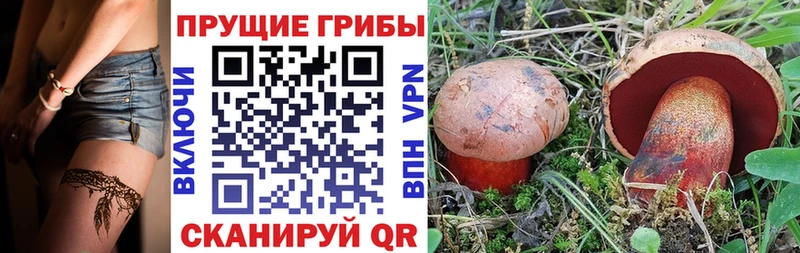 даркнет сайт  Ейск  Галлюциногенные грибы мицелий 