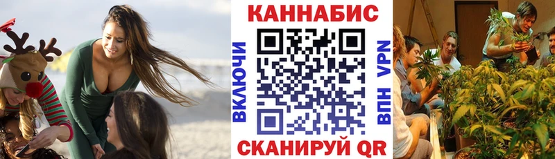 Конопля ГИДРОПОН  продажа наркотиков  Ейск 